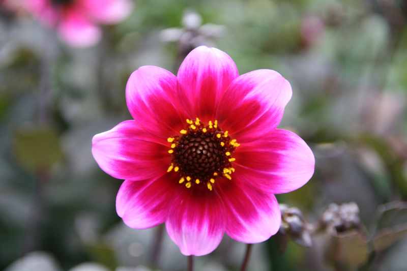 Nieuw-Zeeland 2011 - 2160